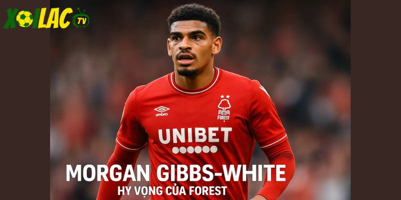 Morgan Gibbs-White, hy vọng của Forest Morgan Gibbs-White, hy vọng của Forest