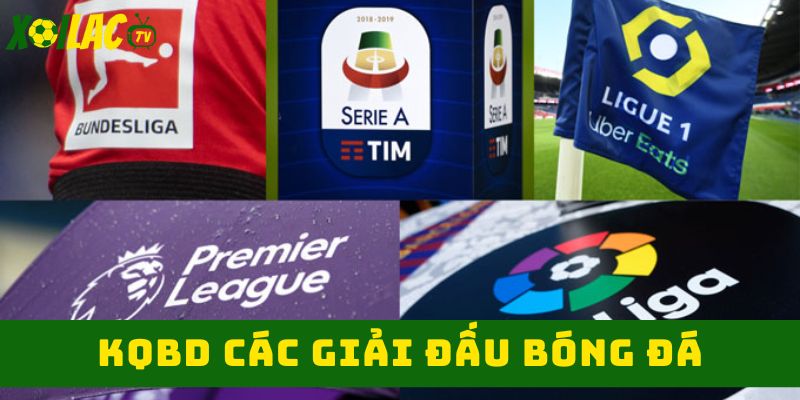 Kết quả bóng đá các giải đấu Kết quả bóng đá các giải đấu