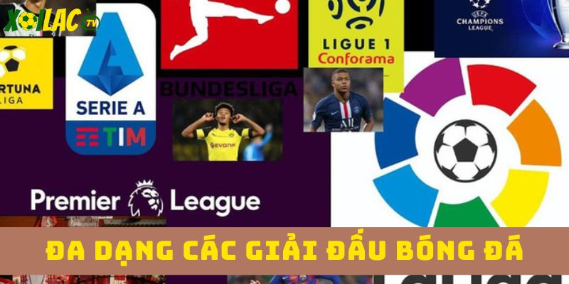 Bảng xếp hạng các giải đấu bóng đá 