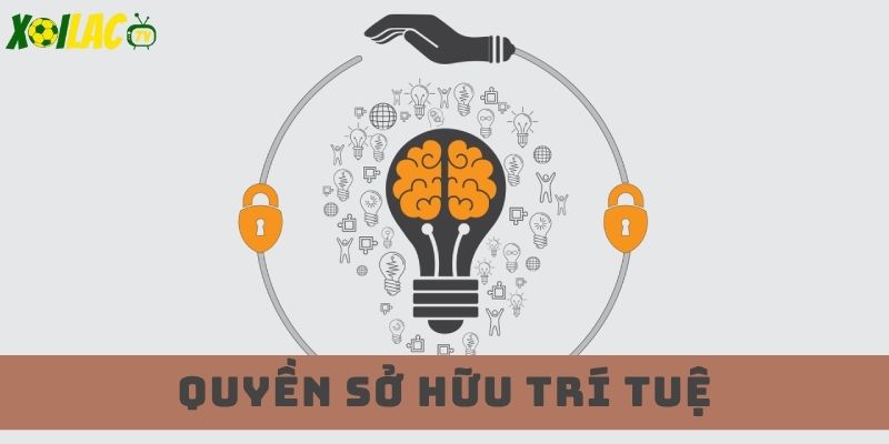 Tôn trọng bản quyền và pháp luật 