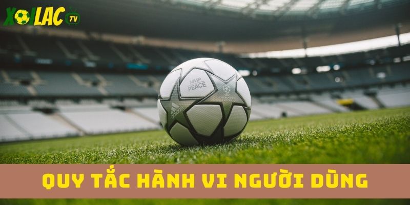 Tuân thủ quy tắc ứng xử 